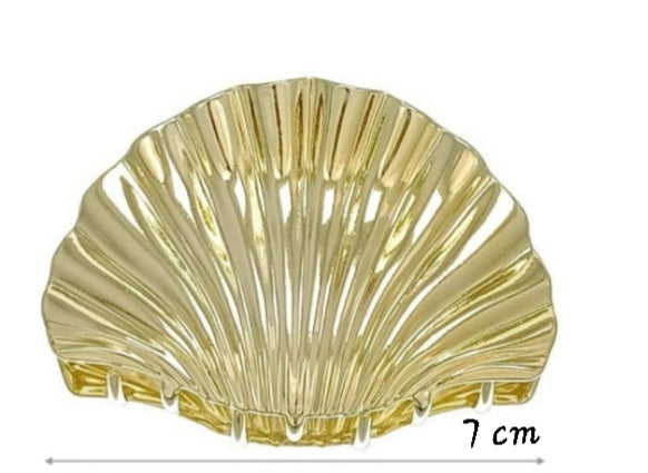 Pinza Shell